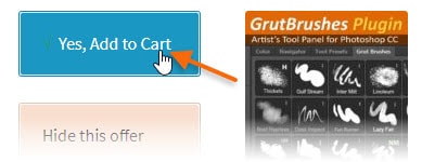 Add Plugin to cart on Checkout page Add Plugin to your order when you Checkout