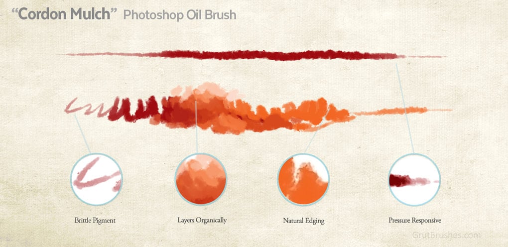 Photoshop-Oil-Paint-Brush-Example-Cordon-Mulch Photoshop Oil Paint brush 'Cordon Mulch' brush stroke characteristics