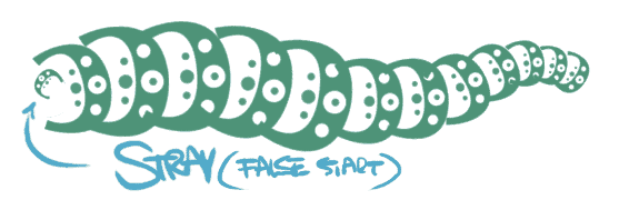 Photoshop-patter-brush-leaves-a-stray Photoshop can't align your shapes to your path until it knows which direction you are drawing in